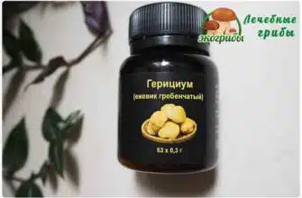 ежовик