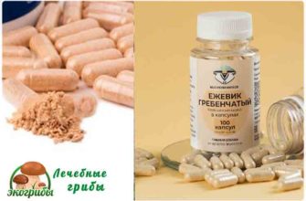ежовик гребенчатый капсулы