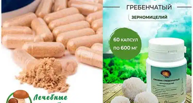 ежовик капсулы
