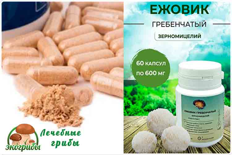 ежовик капсулы