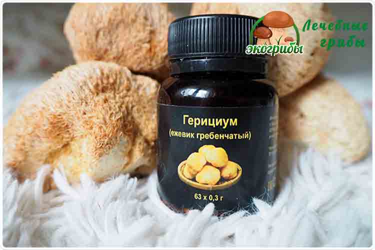 ежовик супер гриб